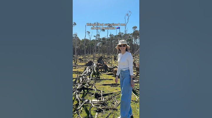 things that surprised me about Australia 🇦🇺