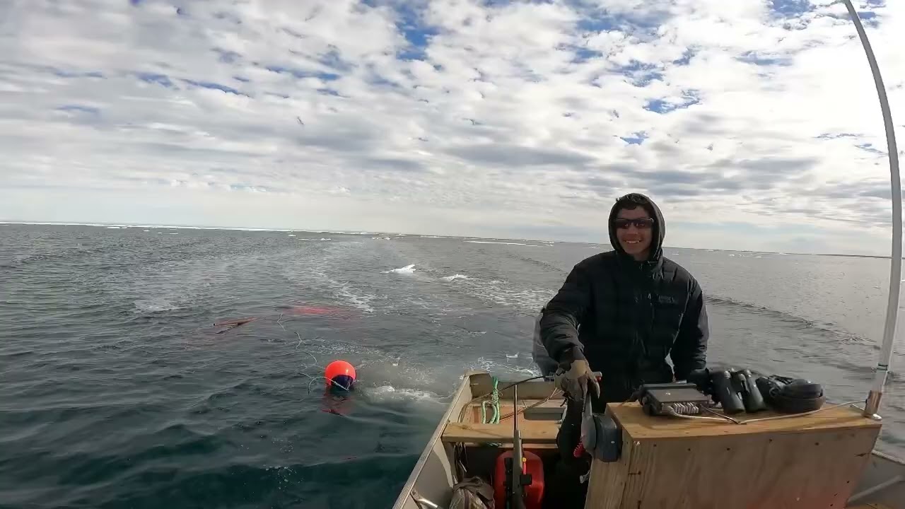 Bearded Seal Hunt in Northern Alaska