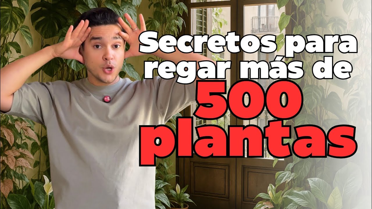 Mi secreto de 8 años para regar plantas sin que se mueran