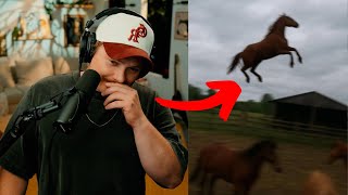 I Watched Gen Z Memes (YLYL)  