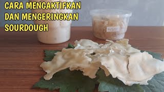 CARA MENGERINGKAN DAN MENGAKTIFKAN KEMBALI SOURDOUGH  (ragi alami)