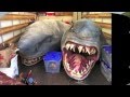 █▬█ █ ▀█▀ Historic And First Two-Headed Mutant Shark Discovered on Florida سمكه قرش براسين