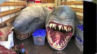 Historic And First Two-Headed Mutant Shark Discovered On Florida سمكه قرش براسين