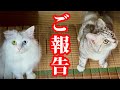 お盆休みと嬉しい報告