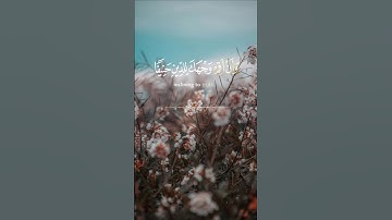 ماتيسر من سورة يونس للقارئ الشيخ أحمد النفيس ♥️🌿
