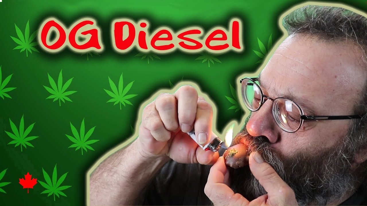 Pot Strains - OG Diesel - Head and Body Stone