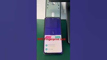 EPORDO professional fingerprint lock | fingerprint and rfid and Tuya WiFi door locks|smart lock