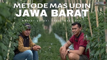 JANGAN TAKUT MENCOBA !! PETANI PEMULA ASAL JAWA BARAT TANAM CABAI METODE MAS UDIN