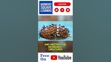 Vreemde ecosystemen en hun vreemde dieren 1