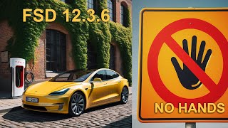 Tesla FSD 12.3.6 Zero Interventions!