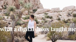 My Digital Detox in Joshua Tree Travel Vlog | Unplugging from Social Media & Self-Care by Chelsea Dinen 2,130 views 6 years ago 10 minutes, 21 seconds