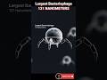 Largest Bacteriophage — 131 Nanometers Explained | The Deadliest Virus on Earth