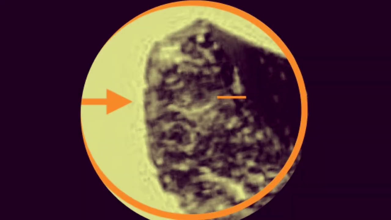 Ancient Denisovan Bracelet Reveals Hidden Archon Demon Effigy? 