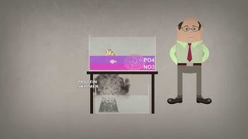 ReefApex All-in-One NP Reducing Biopellets