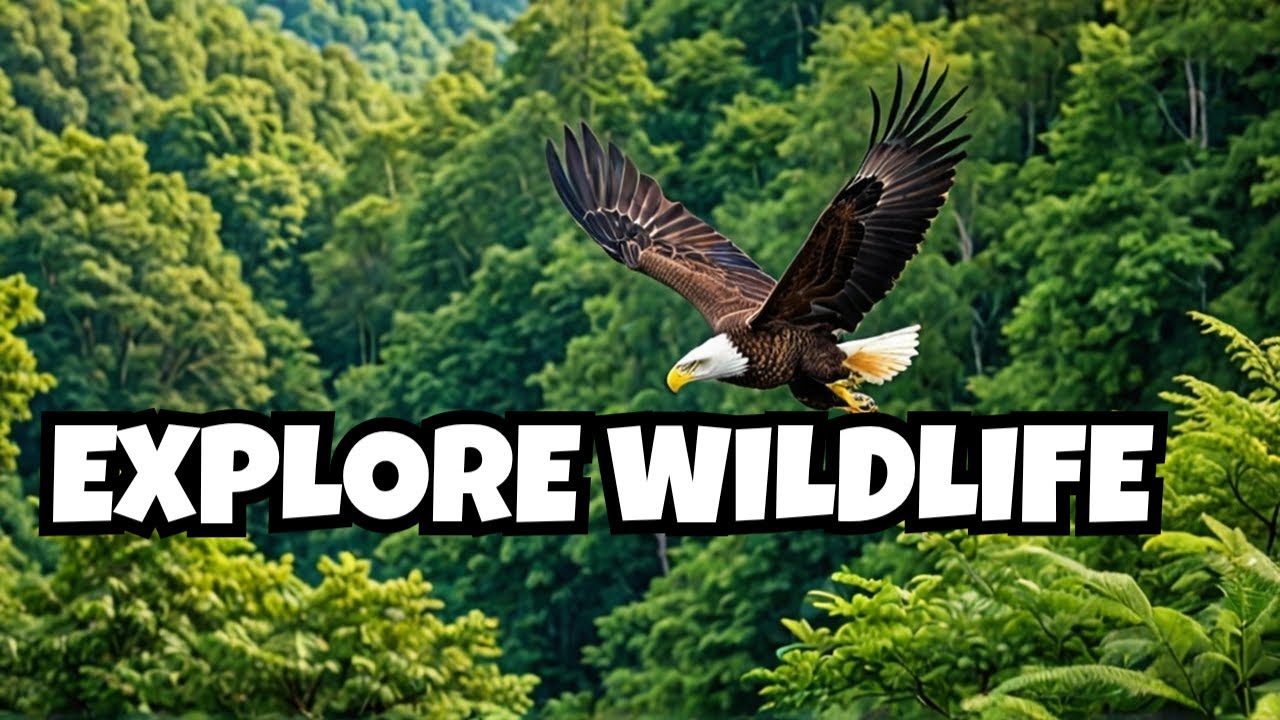 Exploring the Wonders of Wildlife Ecosystems