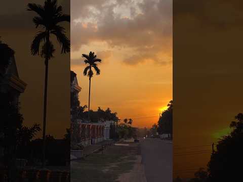 Selamat Petang Shorts Shortvideo Sunset 