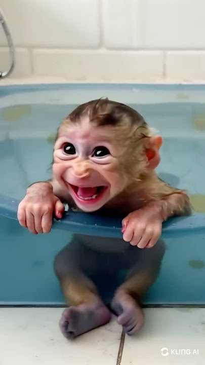Baby Monkey’s First Bath Turns Into a Splash Party!