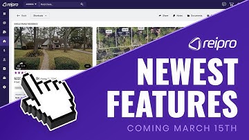 REIPro