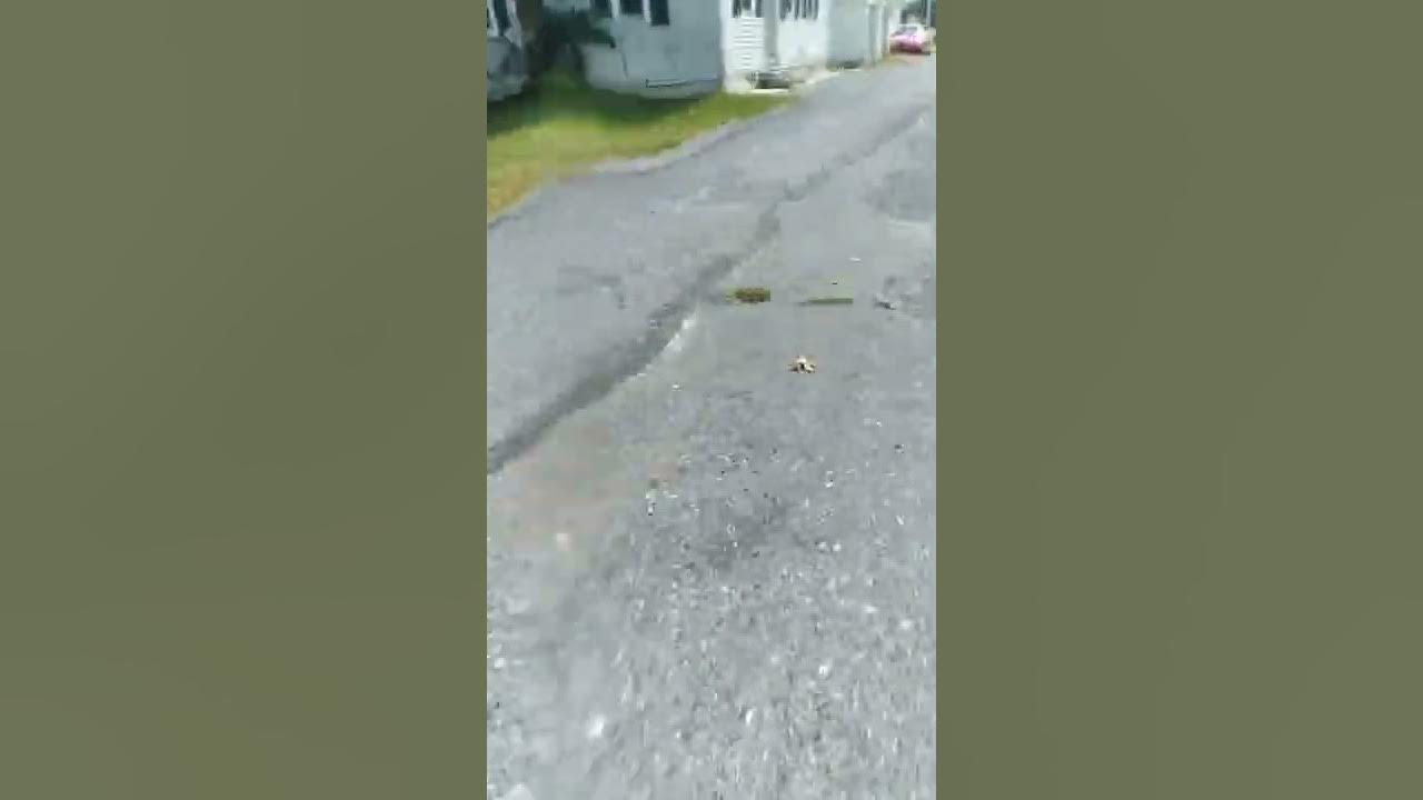 Razor mx350 36v upgrade testing. YouTube