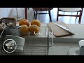 【暮らしのvlog】わたしの平凡な日常・春のルーティン / 食器棚カスタマイズ / あたらしい服計画 / 桜と山菜 / 蛍烏賊とアサツキ|Spring routine.