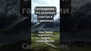 Сострадание - это источник гармонии. Сакья Тризин #shorts