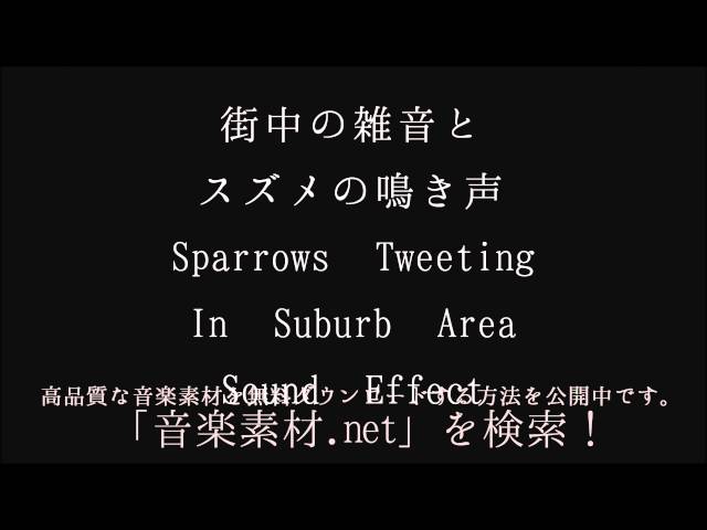 街中の雑音とスズメの鳴き声 Sparrows Tweeting In Suburb Area