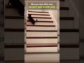 Are you reaching on time or early to office? | Office Memes | Corporate Meme | CA Memes | Memes