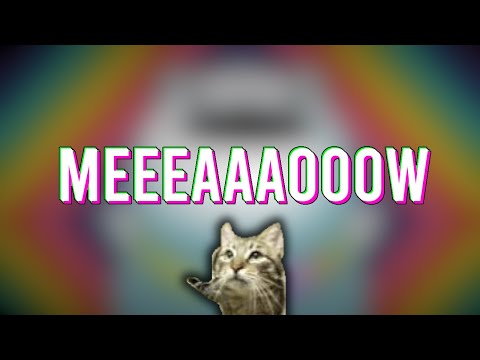 EEEAAAOOO (Meowsynth full remix)