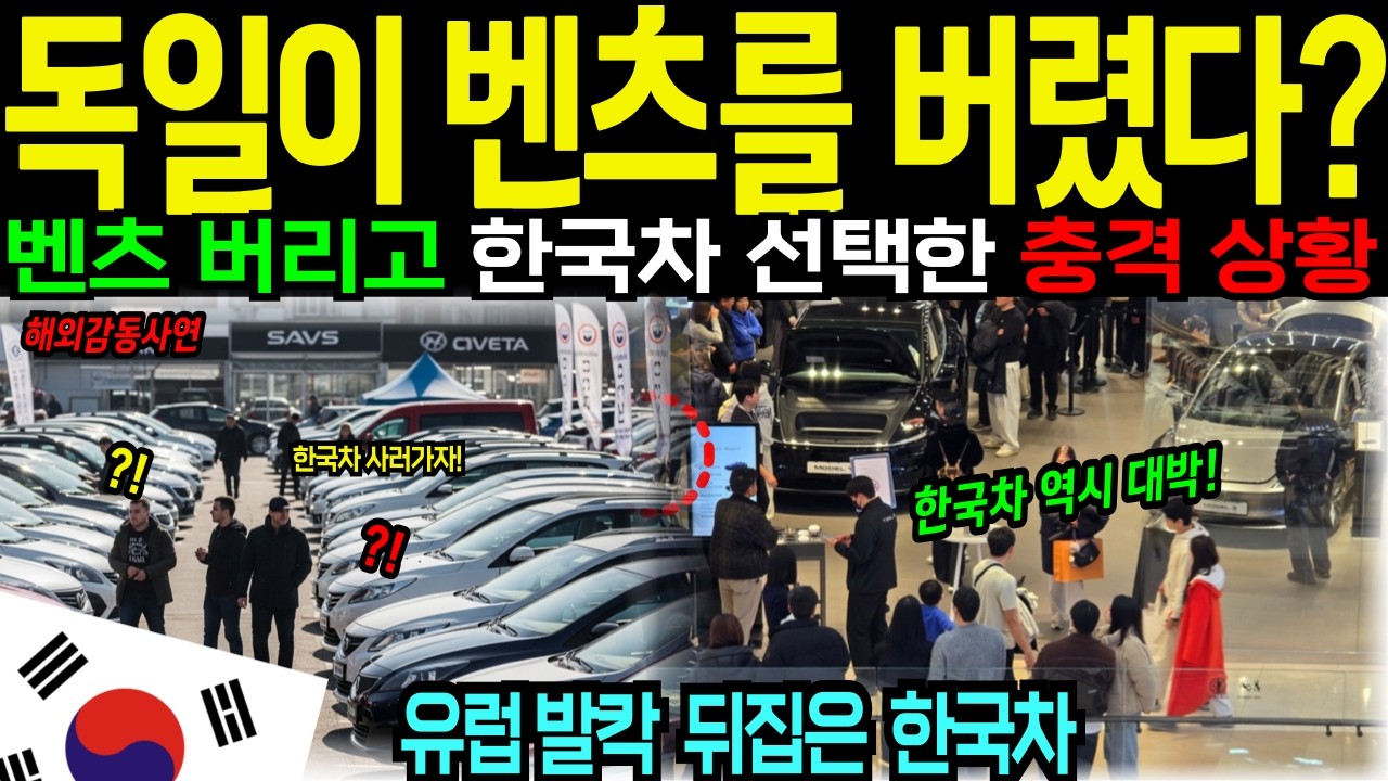 [해외감동사연]한국차에 흠집을 내러 갔던 독일 사냥개가 결국 한국차를 직접 사버렸습니다