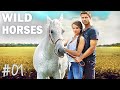 Wild horses  episode 1  srie complete en franais romance famille