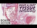 Bone & Soft Tissue Pathology Board Review: 20 Classic Cases