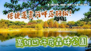 搭捷運賞河畔落羽松！高雄歐風森林公園　漫遊拱橋流水超浪漫