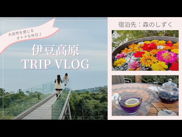 オトナ女子一人旅】伊豆の大自然を感じるオトナな休日｜森のしずく