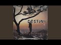 Destiny