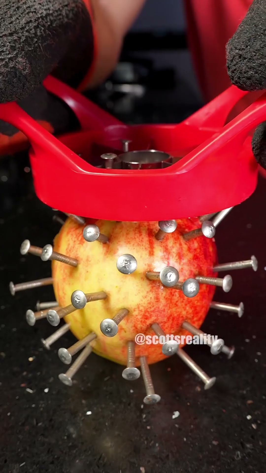 Apple slicer vs. Apple ??
