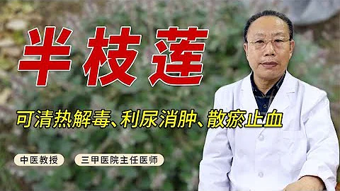 抗癌中藥半枝蓮，臨床應用廣，可清熱解毒、利尿消腫、散瘀止血 - 天天要聞