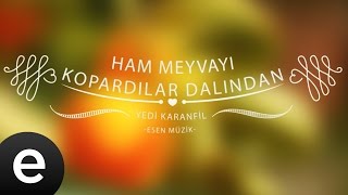 Ham Meyvayı Kopardılar Dalından (Yedi Karanfil) - Esen Müzik chords