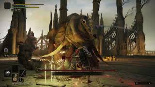 Elden Ring Parry Run - Margott, The Omen King