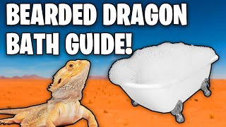 How Often Should You Bathe a Bearded Dragon! Bearded Dragon Baths!