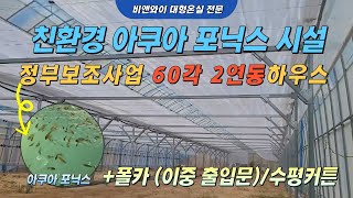 ✔친환경 아쿠아포닉스 시설하우스/60각2연동하우스/정부보조사업▶비앤와이 대형온실전문