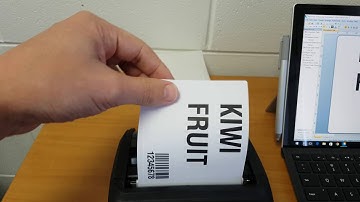 TSC Alpha 4L Label Peel Off