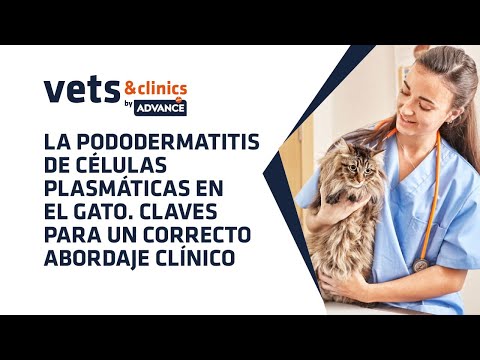 24.ES La pododermatitis de células plasmáticas en el gato: abordaje clínico (Dr. Ramón Almela)