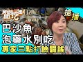 【搶播】巴沙魚泡藥水別吃？專家三點打臉闢謠！