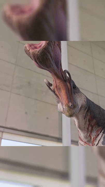 🌊 Learn to Swim Like a Mega Raptor... or Be Its Meal! 🦖💥 @DinoKids
