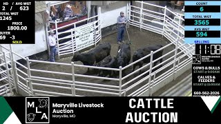 5/23/2024 -Maryville Livestock Auction - Cattle Auction
