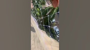 transparent polycarbonate bird net fitting in #noida #shorts