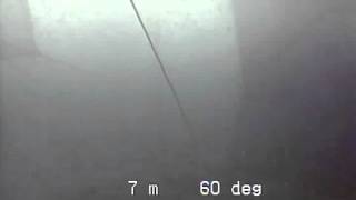 Salmon Nets 1