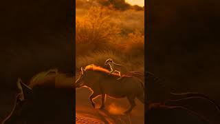 Timon And Pumba In Real Life