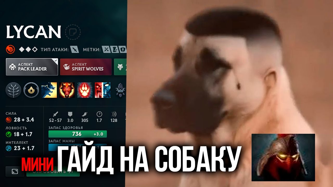 Мини-Гайд на Lycan: Что качать? Что собирать? Линия, фишки, Patch 7.39e. [Dota 2]