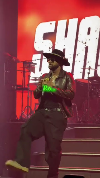 Mr. Bombastic - Shaggy Live [Mr lover lover] #shorts